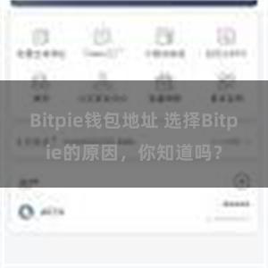 Bitpie钱包地址 选择Bitpie的原因，你知道吗？