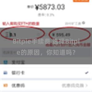 Bitpie手续费 选择Bitpie的原因，你知道吗？