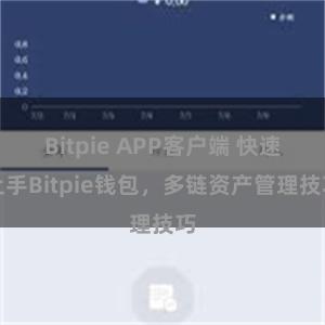 Bitpie APP客户端 快速上手Bitpie钱包，多链资产管理技巧