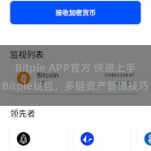 Bitpie APP官方 快速上手Bitpie钱包，多链资产管理技巧