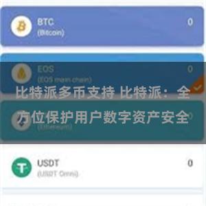 比特派多币支持 比特派：全方位保护用户数字资产安全