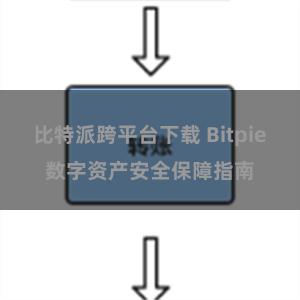 比特派跨平台下载 Bitpie数字资产安全保障指南