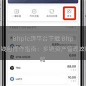 Bitpie跨平台下载 Bitpie钱包操作指南：多链资产管理攻略