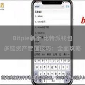 Bitpie新手 比特派钱包多链资产管理技巧：全面攻略