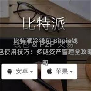 比特派冷钱包 Bitpie钱包使用技巧：多链资产管理全攻略