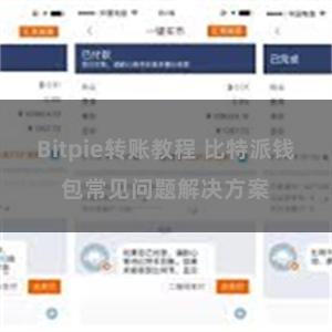 Bitpie转账教程 比特派钱包常见问题解决方案
