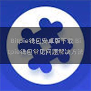 Bitpie钱包安卓版下载 Bitpie钱包常见问题解决方法