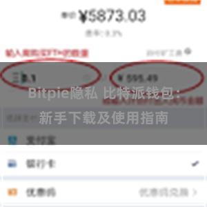 Bitpie隐私 比特派钱包：新手下载及使用指南