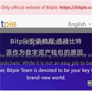 Bitpie安装教程 选择比特派作为数字资产钱包的原因。
