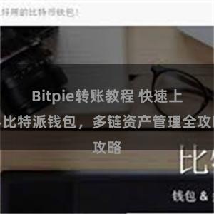 Bitpie转账教程 快速上手比特派钱包，多链资产管理全攻略