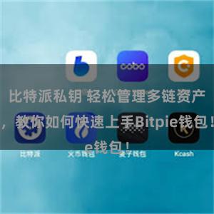 比特派私钥 轻松管理多链资产，教你如何快速上手Bitpie钱包！