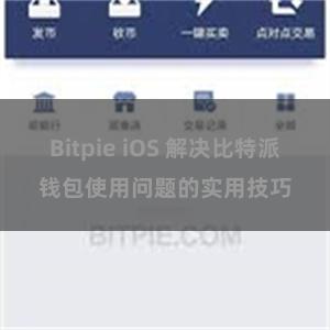 Bitpie iOS 解决比特派钱包使用问题的实用技巧