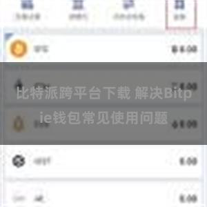比特派跨平台下载 解决Bitpie钱包常见使用问题