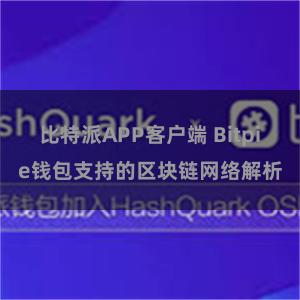 比特派APP客户端 Bitpie钱包支持的区块链网络解析