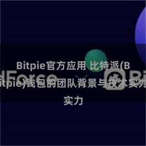 Bitpie官方应用 比特派(Bitpie)钱包的团队背景与技术实力