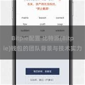 Bitpie配置 比特派(Bitpie)钱包的团队背景与技术实力