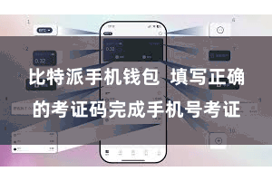 比特派手机钱包  填写正确的考证码完成手机号考证