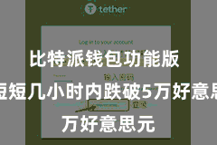 比特派钱包功能版  在短短几小时内跌破5万好意思元