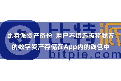 比特派资产备份  用户不错选拔将我方的数字资产存储在App内的钱包中