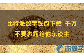 比特派数字钱包下载  千万不要表露给他东谈主