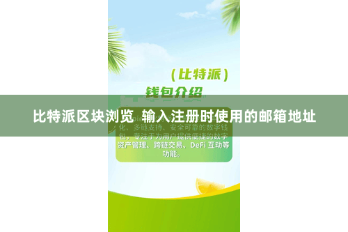 比特派区块浏览  输入注册时使用的邮箱地址