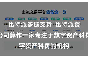 比特派多链支持  比特派资产科罚公司算作一家专注于数字资产科罚的机构