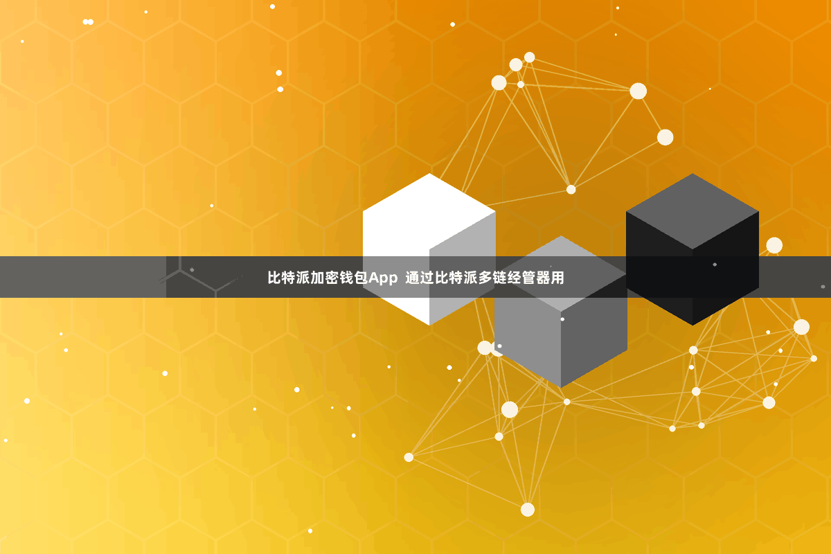 比特派加密钱包App  通过比特派多链经管器用